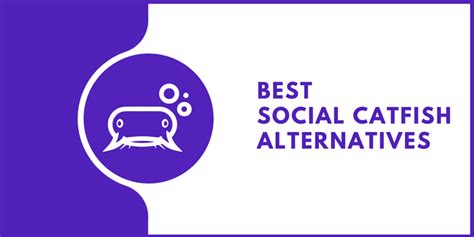 15 Social Catfish Alternatives 2024 (Free & Paid)